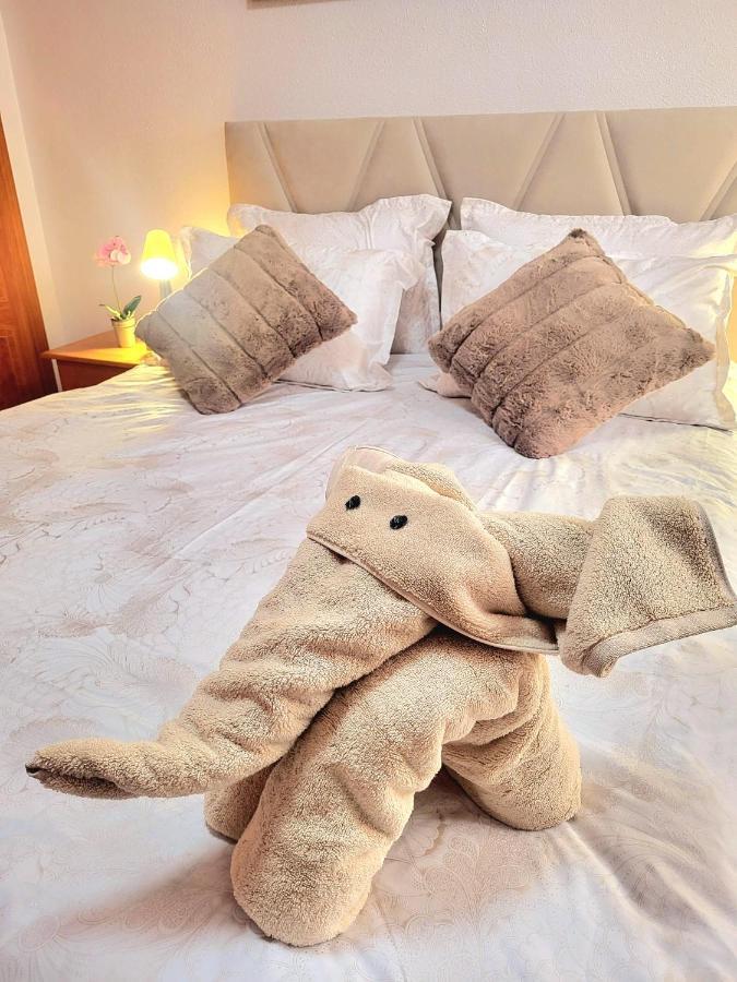 Sea Breeze Apartament Бенікарло Екстер'єр фото